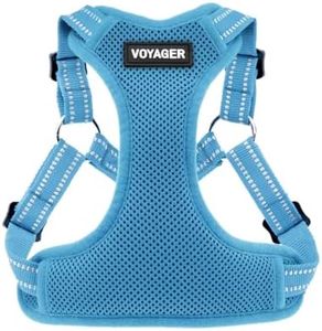 Voyager Step-In Flex Dog Harness - All Weather Mesh, Step In Adjustable Harness for Small and Medium Dogs by Best Pet Supplies - Baby Blue, Small