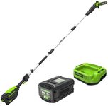 Greenworks 80V 10" Brushless Cordle