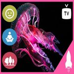 Jellyfish Aquarium - Relaxing Music Along With Beautiful Jellyfish Videos - Relaxing Music for Sleep, Study, Meditation & Yoga • Screensaver for Fire Tv And Tablets