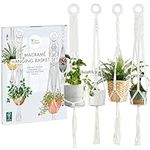 OwnGrown Hanging Basket Set: 4 x 37.5in Long Macrame Plant Hangers – Cotton Macrame Plant Holder for 3 to 7.8in Hanging Plant Pot – Boho Hanging Planters for Indoor Plants – Hanging Plant Basket