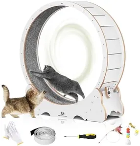Cat Wheel,