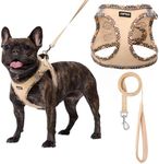 AMTOR Small Dog Harness with Leash 