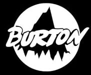 Burton Snowboard Skateboards Vinyl 