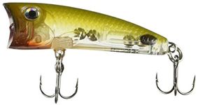 Rapala Topwater Lures