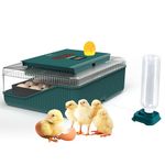 A Professional Incubator Capable of Hatching 25 Eggs, Equipped with Various Features. Suitable for a Variety of Poultry Eggs Including Chicken, Duck, and Goose Eggs.