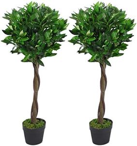 Leaf Desig