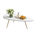 SAYGOER Modern Coffee Table White Coffee Tables for Small Space Unique Simple Oval Center Table for Living Room Home Office Easy Assembly 22.2" D x 42.5" W x 17.1" H