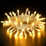 Dalugo Battery Fairy Lights, 10ft 30 LED Warm White Fairy Lights with Timer, LED Fairy Lights for Indoor Outdoor Christmas Decorations