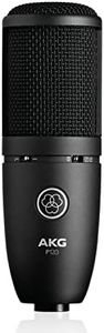 AKG 3101H00400 P120 Cardioid Recording Condenser Microphone, 5.4 cm Diameter