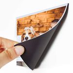 iCONY Magnetic Photo Frame - An Awesome Gifts for Family and Friends. It Can Be Used On Refrigerator/Fridge/Any Metal Surface,Magnet Image Holder (white, 6x4 Inch 10pcs)