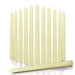 CANDWAX 25 cm Taper Candle Set of 12 - Dripless Tapered Candles Unscented Candle Sticks - Long Dinner Candles Long Burning - Ivory Candles