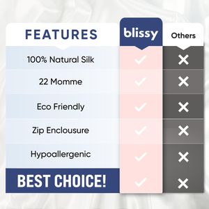 Blissy Silk Pillowcase, 100% Mulberry Silk 22 Momme – Standard, Matcha