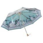 Cooloutdoors Automatic Umbrella, Double Layer 8Ribs Inverted Umbrella/Windproof Umbrella, Anti-UV Waterproof Straight Umbrella for Car Rain Outdoor Use (Light/pink), green