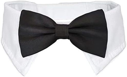 Bow Tie fo