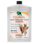 DD Teck Squirrel Repellent – 100% Natural Essential Oils, Prevents Chewing on Furniture & Wiring, Stops Nesting, Protects Garden & Lofts | Safe for Pets (250ml Postal)