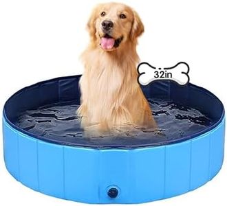 Dog Pool F