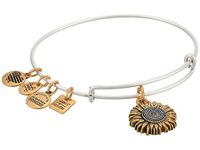 Alex and Ani Tokens Expandable Bangle for Women, Life's Token Charms, Made in the USA, 2 to 3.5 in, One Size, Metal