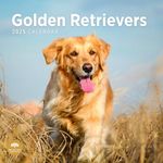 2025 Golden Retrievers Monthly Wall Calendar by Bright Day, 12 x 12 Inch Cute Dog Breed Gift