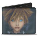 Buckle-Down Men's Kingdom Hearts Ii Hazy Sora Face Close-up Grays Bi-Fold Wallet, Multicolor, Default Size