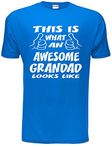 This is What an Awesome Grandad Grandpa Gift Mens T Shirt Large Blue