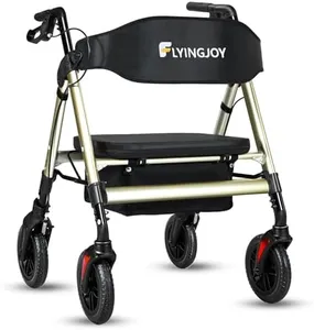 FlyingJoy 