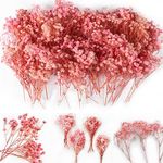 Glicrili 65Pcs Mini Dried Baby's Breath Flowers for Resin Art Craft DIY, 4000+ Natural Pink Bulk Flowers, Pressed Gypsophila Bouquet Present for Mother, Wedding Wreath, Card Making, Home Decor