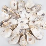 QEQEKAKA 30PCS Oyster Shells 4"-5" 