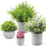 BEKOMIYA 4 Set Artificial Plants Indoors - Small Fake Plants, Eucalyptus, Rosemary, Mini Succulents Faux Plants for Office Desk Bedroom Kitchen House Decoration