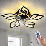 haodengshi 25" Ceiling Fan with Lig