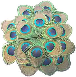 MWOOT 30 Piezas Plumas Pavo Real Naturales, Plumas Decoracion Manualidades para Bricolaje Carnaval Mascarada Partido Disfraz Vintage Cabello Accesorios, Plumas para Arte Proyecto Hechas a Mano