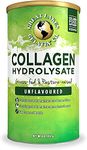 Great Lakes Gelatin Collagen Hydrolysate, Grass-Fed Bovine Hydrolysed Collagen Peptides Protein Powder Supplement, Unflavoured, 454g Can (454g, Can)