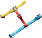 Travel Cat Harness and Bungee Leash