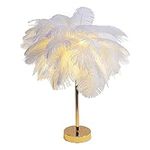 Artificial Feather lampshade LED Ta