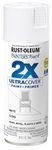 Rust-Oleum 249090 Painter's Touch Acrylic Spray Paint (Gloss White - 340 Grams)