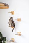 ANAIZA Wall Mounted Wooden Cat Bed – Space-Saving Wall Shelf for Cats with Soft Washable Cushion | Indoor Cat Furniture | Elevated Cat Lounger & Sleeping Shelf (Corner CAT Bed)