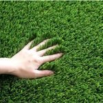SVG® Perennial Ryegrass Seeds | Grass Seeds for Your Home and Gardening (PACK OF 3KG)