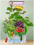 Hydroponics Growing System kit with