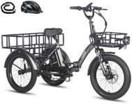 Fafrees F20 Mate E-Bike Tricycle, 2