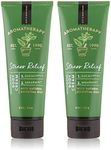 Bath & Body Works Aromatherapy Stress Relief Eucalyptus Spearmint Body Cream 8.0 oz, 226g (2 Pack)