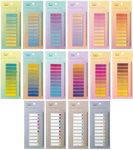 Mr. Pen- Sticky Tabs, 3200 Pcs, Colorful Book Tabs, Transparent Sticky Tabs for Books, Sticky Note Tabs, Page Markers Tabs, Book Markers, Page Tabs, Book Tabs for Annotating Books, Book Sticky Tabs