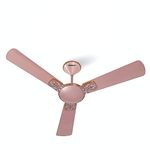 Havells Enticer Art 1200Mm 2 stars Energy Saving Ceiling Fan (Rose Gold, Pack Of 1)