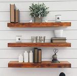 Baxton Studio Bookcases