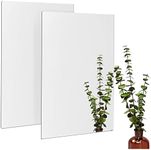 Bright Creations 2 Pack Acrylic Mirror Sheets for Wall Decor, 3mm 17x11 Shatter Resistant Frameless Tiles for Mounted Mirror, Bedroom, Home Gym, Bathroom, Kitchen, Door