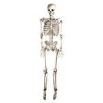 Bristol Novelty HI301 Skeleton Hanging, White/Grey, One Size