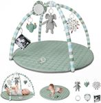 Blissful Diary Baby Play Gym Mat, P