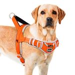 ADVENTUREMORE No Pull Dog Harness, Sport Dog Halter Harness Adjustable Reflective Dog Vest Escape Proof Dog Harness with Easy Control Front Clip Handle for Training Walking