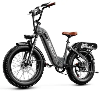 1500W Peak Motor Electric Bike for Adults, 48V 20Ah, 20 x 4.0'' Fat Tire Electric Mountain Bike, Commute Ebike with 80 Miles, 30MPH, 7 Speed E Bike, All Terrain Bicycle