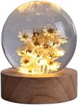 suruim Daisy Flower Crystal Ball Night Light, Floral Resin Lamp Decor, Cute Daisy Gifts for Women and Girls, Flower Night Light for Bedroom, Living Room, or Office (Yellow Daisy)