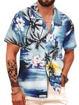 APTRO Men's Hawaiian Floral Shirt Short Sleeved Floral Shirt Beach Aloha Funky Party Floral Shirt Black MF066 M