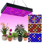 Led Veg Lights